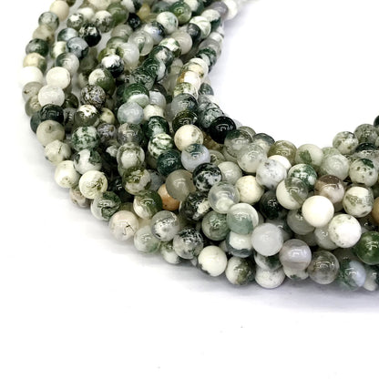 CAG229 Tree Agate Beads Smooth Round 6mm 15" Strand