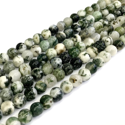 CAG230 Tree Agate Beads Smooth Round 8mm 15" Strand