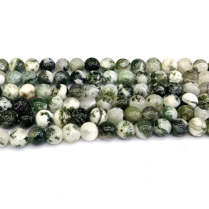 CAG230 Tree Agate Beads Smooth Round 8mm 15" Strand