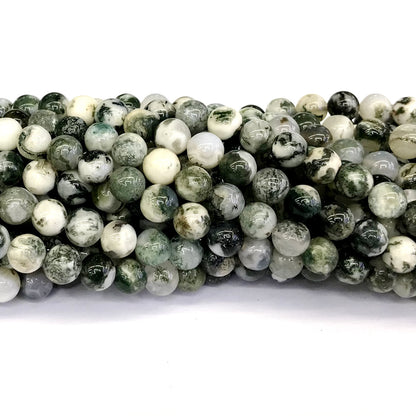 CAG230 Tree Agate Beads Smooth Round 8mm 15" Strand