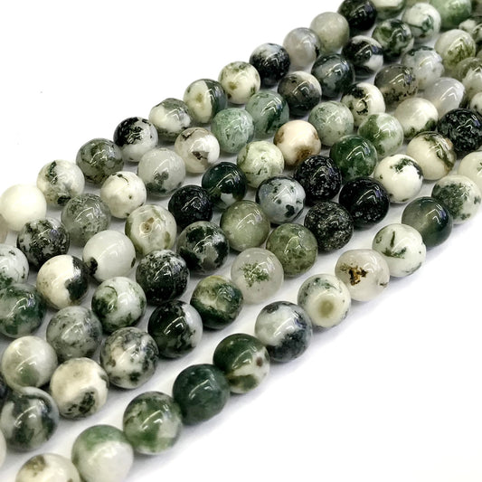 CAG231 Tree Agate Beads Smooth Round 10mm 15" Strand