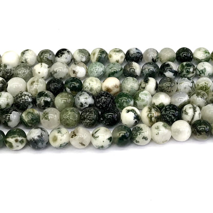 CAG231 Tree Agate Beads Smooth Round 10mm 15" Strand