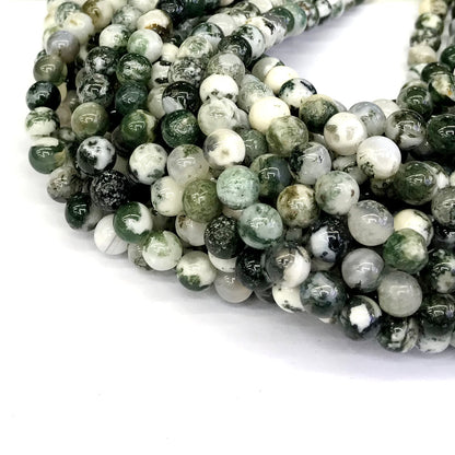 CAG231 Tree Agate Beads Smooth Round 10mm 15" Strand