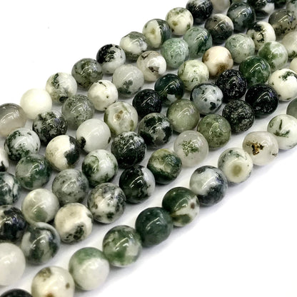 CAG232 Tree Agate Beads Smooth Round 12mm 15" Strand