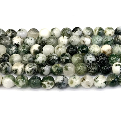 CAG232 Tree Agate Beads Smooth Round 12mm 15" Strand