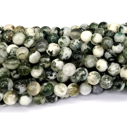 CAG232 Tree Agate Beads Smooth Round 12mm 15" Strand