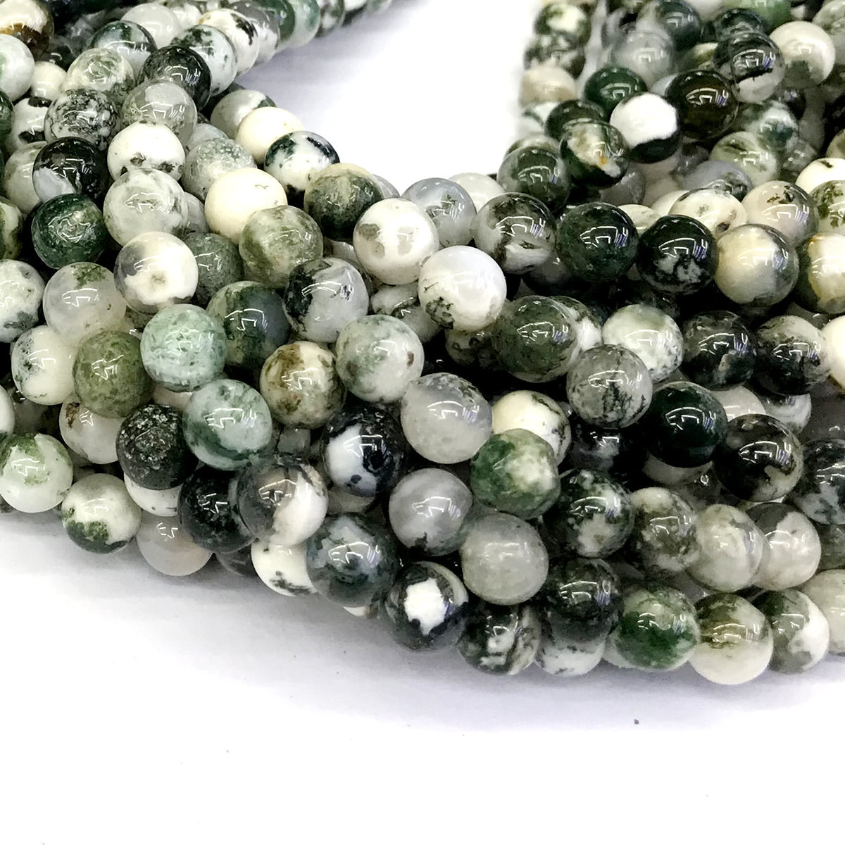 CAG232 Tree Agate Beads Smooth Round 12mm 15" Strand