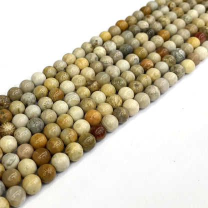 CFC01 Fossil Coral Beads Smooth Round 4mm 15" Strand