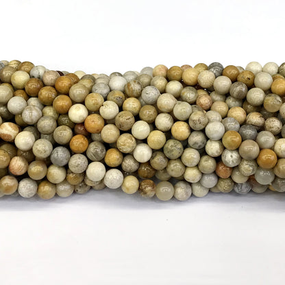 CFC01 Fossil Coral Beads Smooth Round 4mm 15" Strand