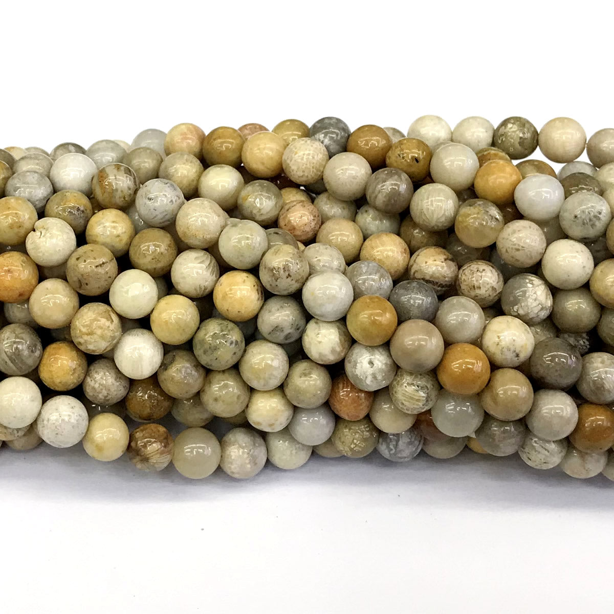 CFC02 Fossil Coral Beads Smooth Round 6mm 15" Strand