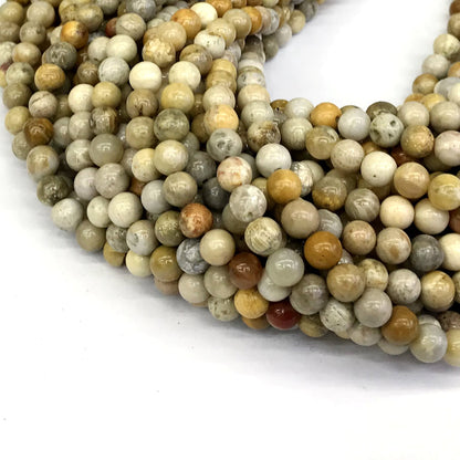 CFC02 Fossil Coral Beads Smooth Round 6mm 15" Strand