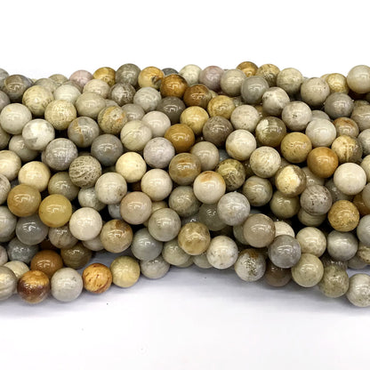 CFC03 Fossil Cora Beads Smooth Round 8mm 15" Strand