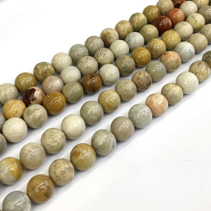 CFC04 Fossil Coral Beads Smooth Round 10mm 15" Strand