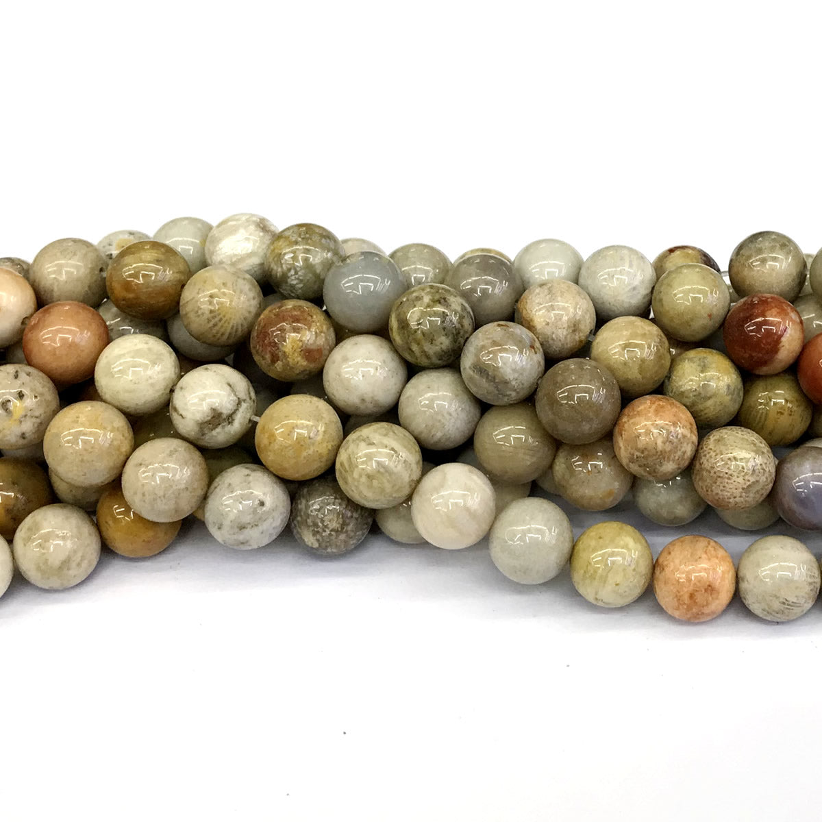 CFC04 Fossil Coral Beads Smooth Round 10mm 15" Strand