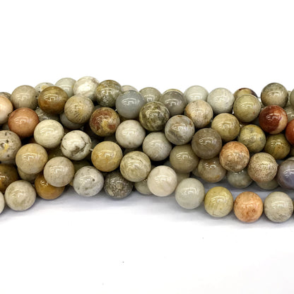 CFC04 Fossil Coral Beads Smooth Round 10mm 15" Strand