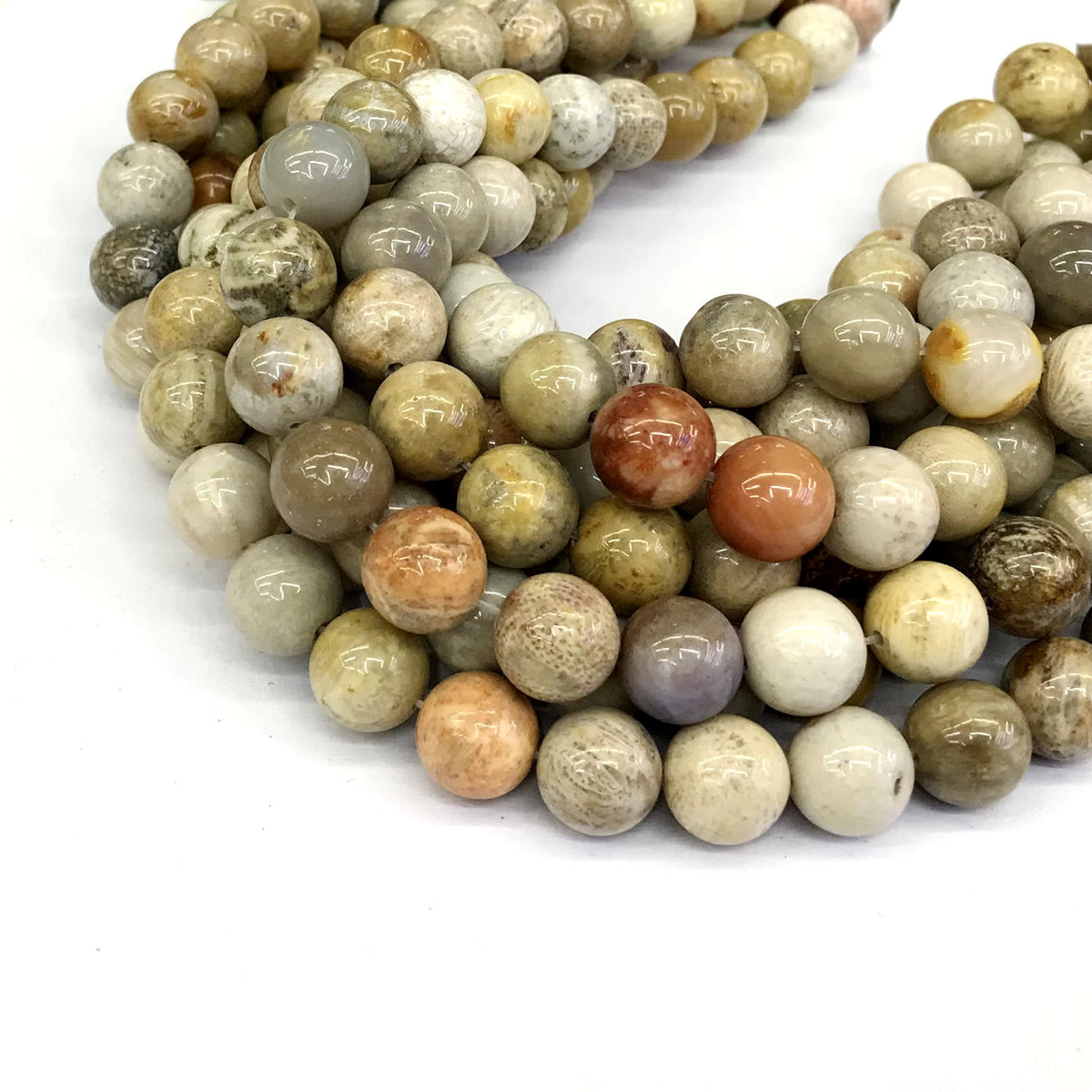 CFC04 Fossil Coral Beads Smooth Round 10mm 15" Strand