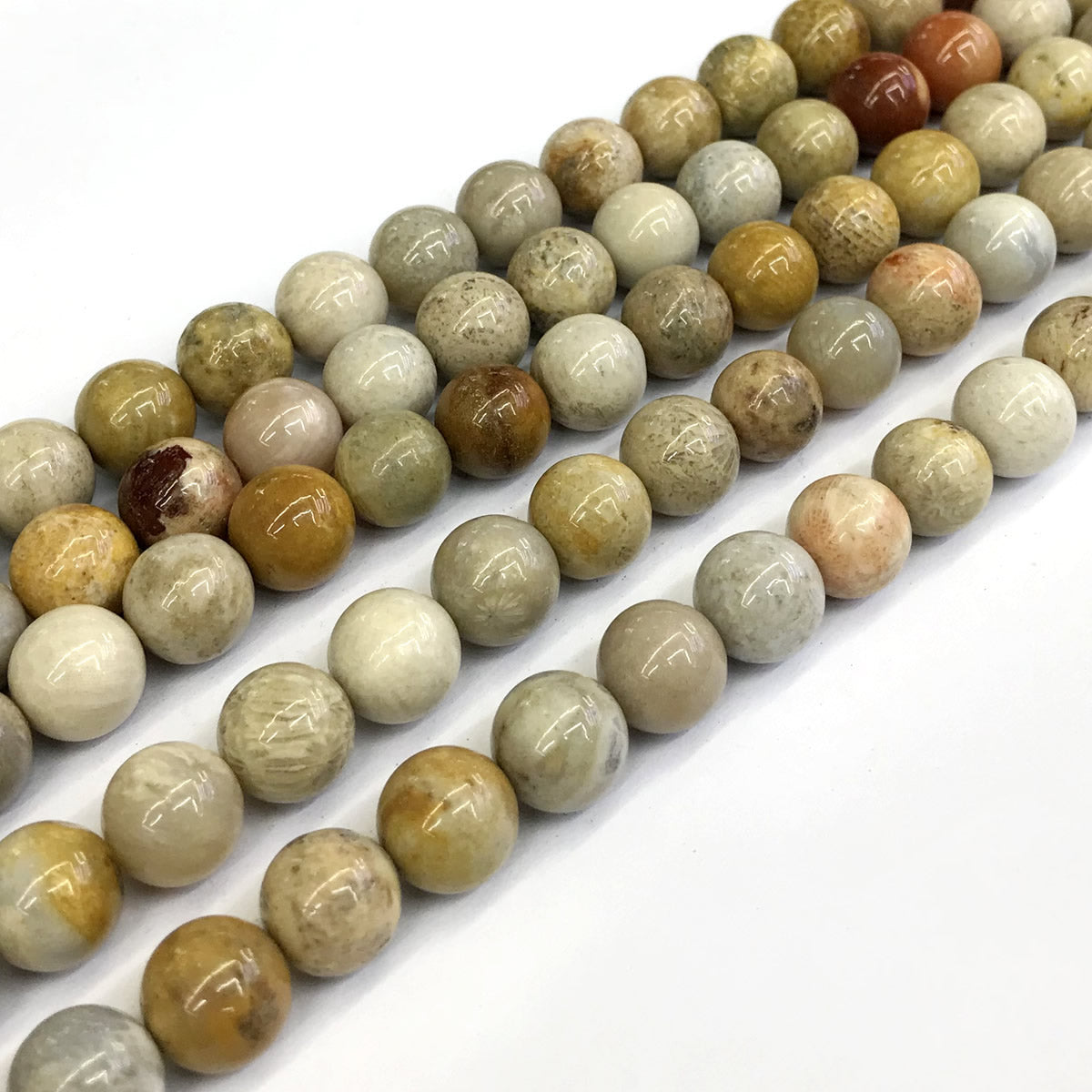 CFC05 Fossil Coral Beads Smooth Round 12mm 15" Strand