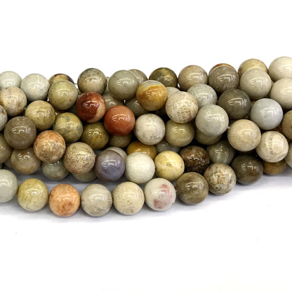 CFC05 Fossil Coral Beads Smooth Round 12mm 15" Strand