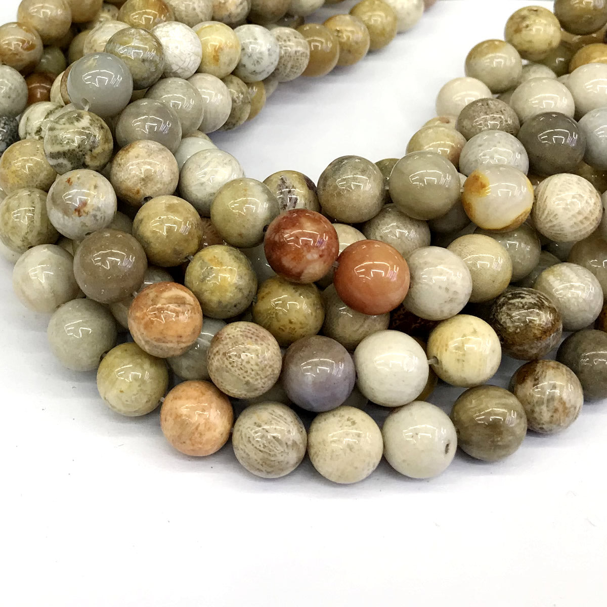 CFC05 Fossil Coral Beads Smooth Round 12mm 15" Strand