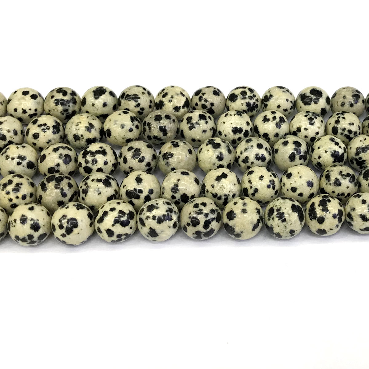 CJP132 Dalmatian Jasper Beads Smooth Round 12mm 15" Strand