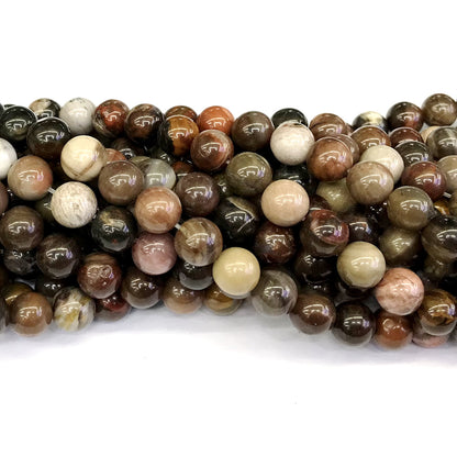 CJP219 Petrified Wood Jasper Beads Smooth Round 10mm 15" Strand