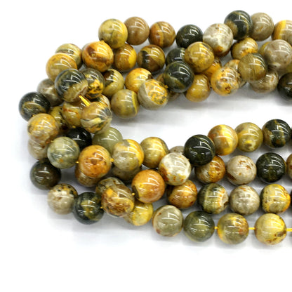 CJP56 Honeybee Jasper Beads Smooth Round 12mm 15.5" Strand