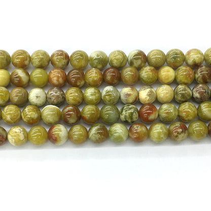 CJP83 Green Serpentine Jasper Beads Smooth Round 10mm 15.5" Strand