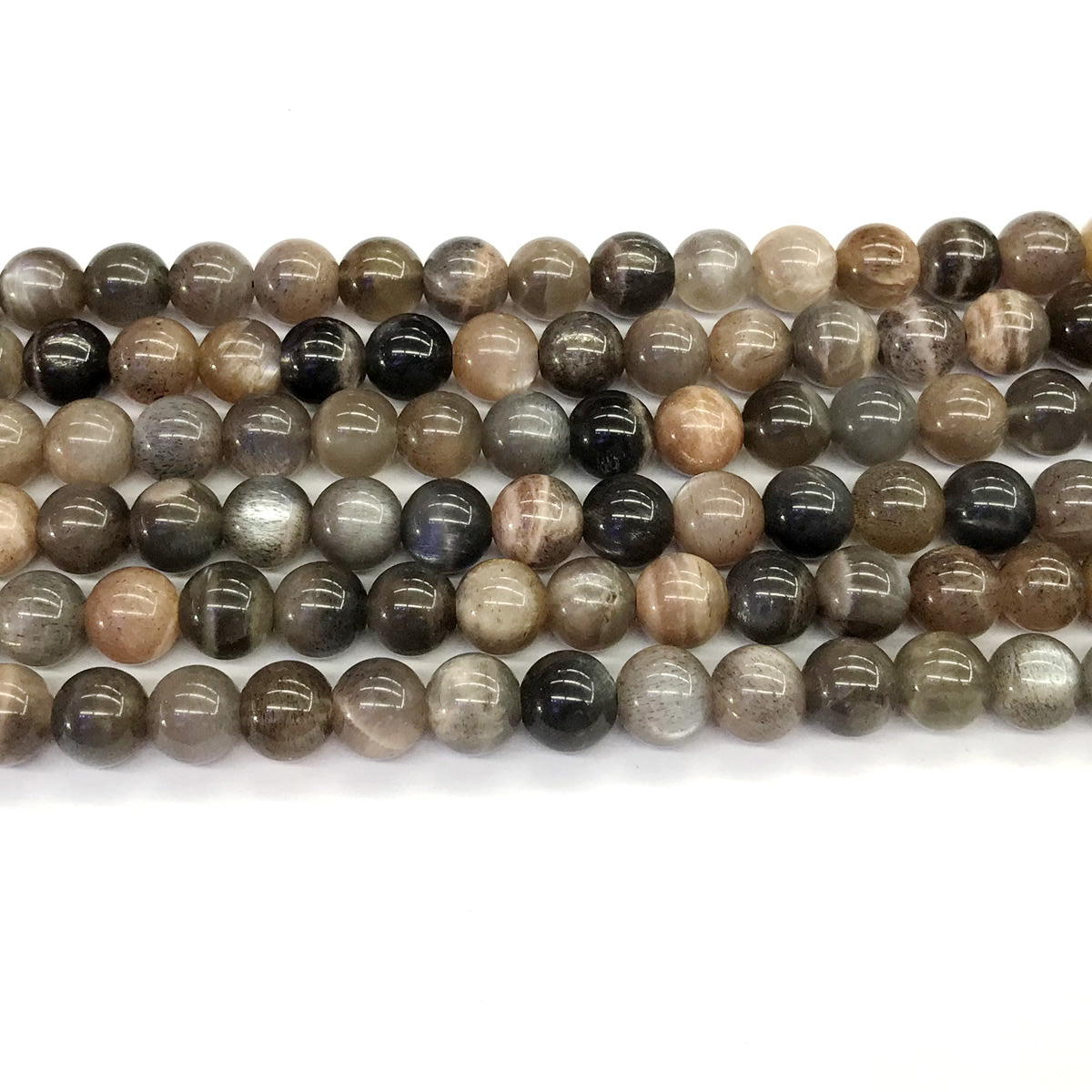 CMS38 Grey Moonstone Beads Smooth Round 8mm 15.5" Strand