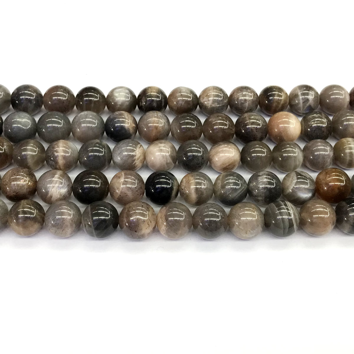 CMS39 Grey Moonstone Beads Smooth Round 10mm 15.5" Strand