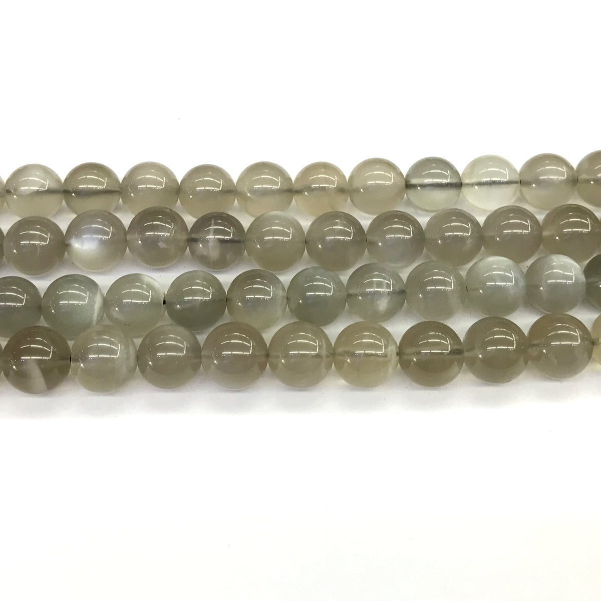 CMS46 Grey Moonstone Beads Smooth Round 10mm 15.5" Strand