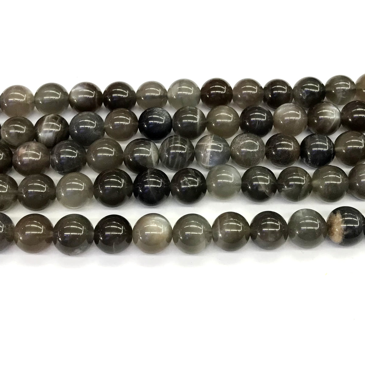 CMS53 Black Moonstone Beads Smooth Round 10mm 15.5" Strand